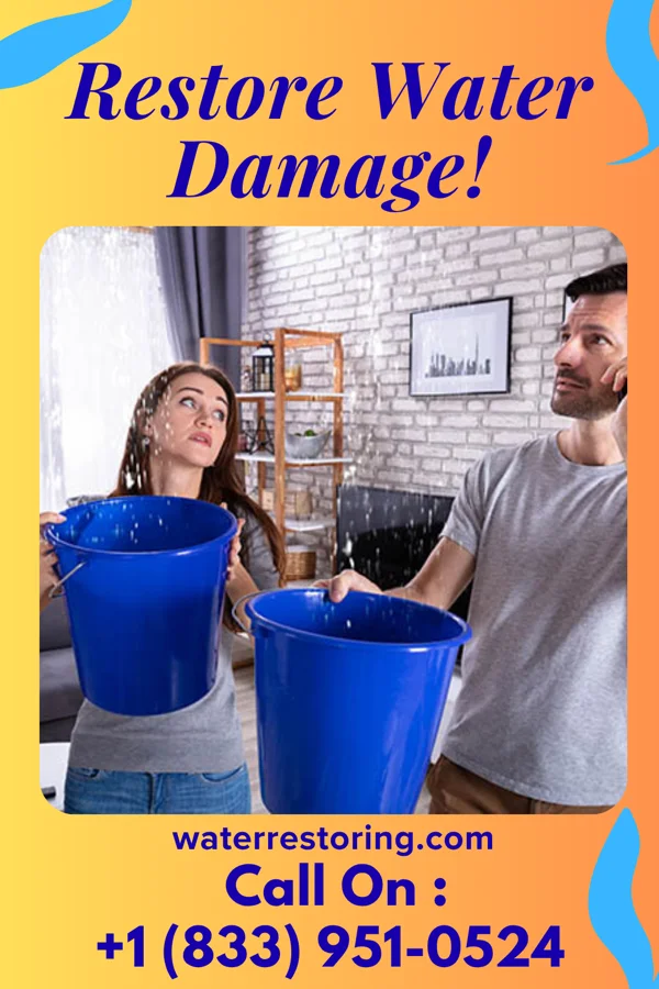 water restoration Shield Extraction Experts Bird-in-Hand