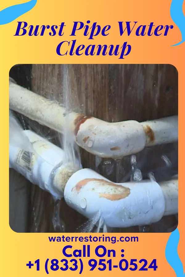 Burst Pipe Water Cleanup in Bird-in-Hand, PA