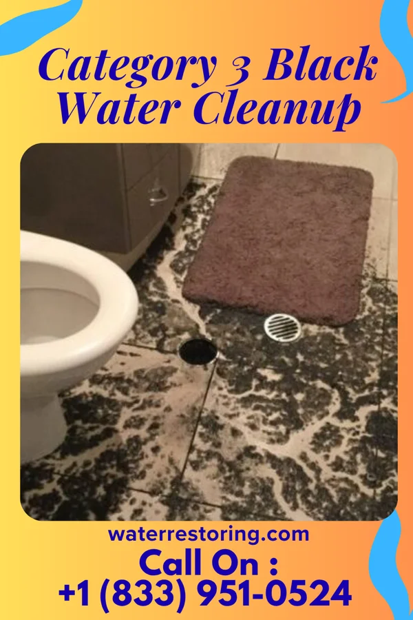 Category 3 Black Water Cleanup in Bird-in-Hand, PA