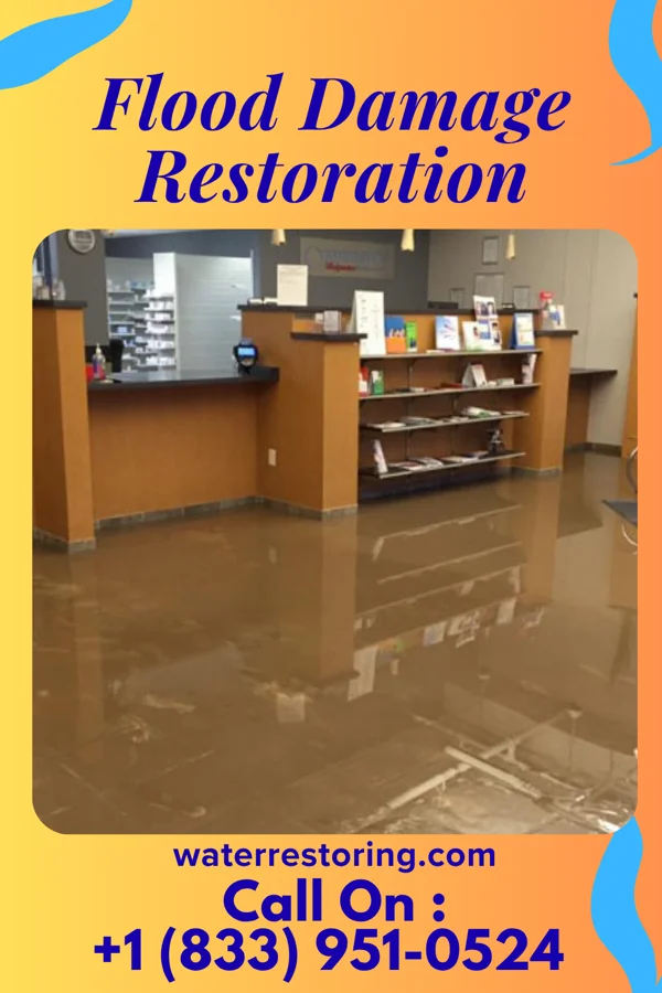 Flood Damage Restoration in Bird-in-Hand, PA