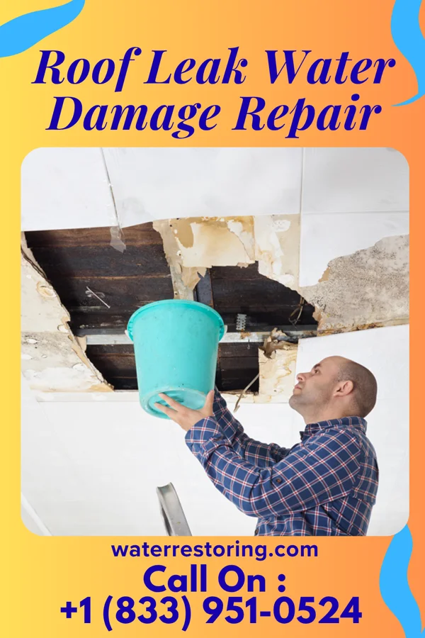 Roof Leak Water Damage Repair in Bird-in-Hand, PA