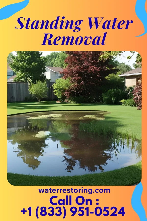 Standing Water Removal in Bird-in-Hand, PA